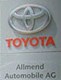Allmend Automobile AG