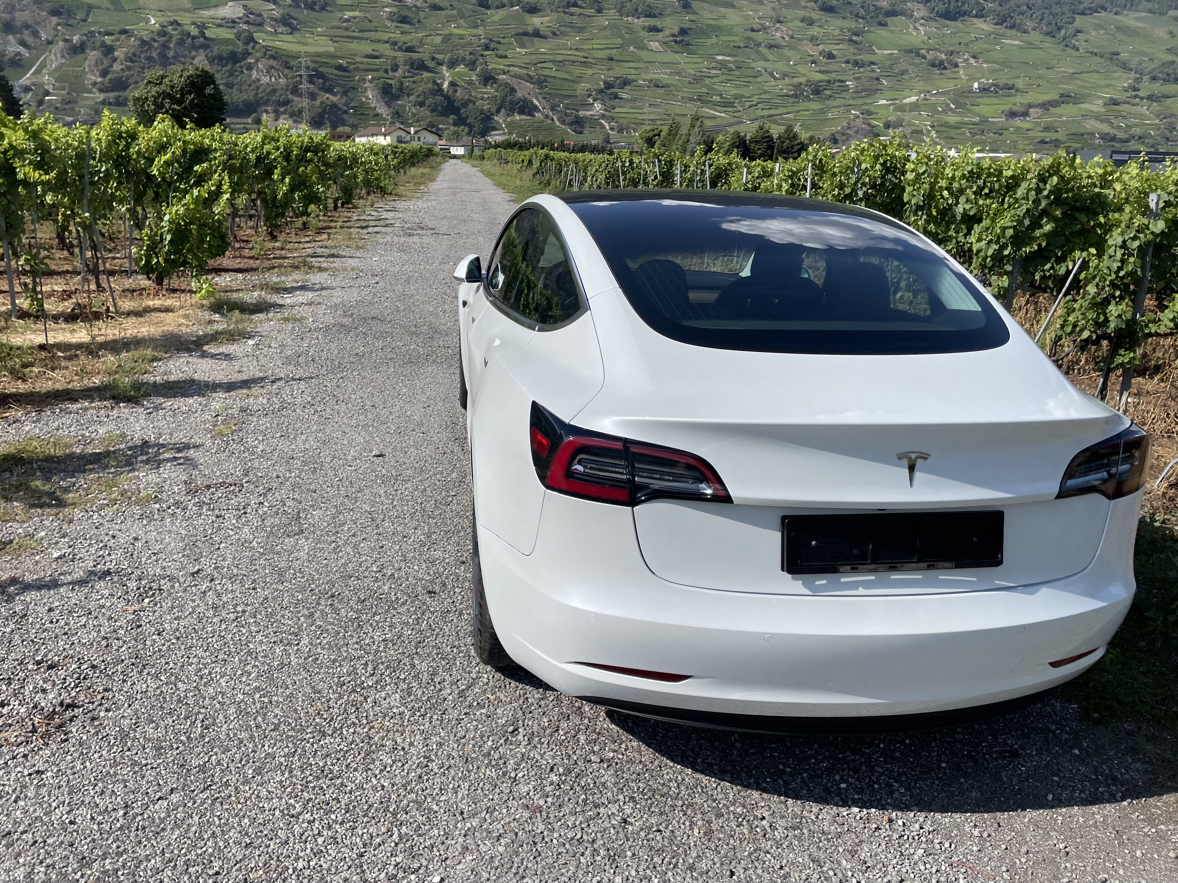TESLA MODEL 3 