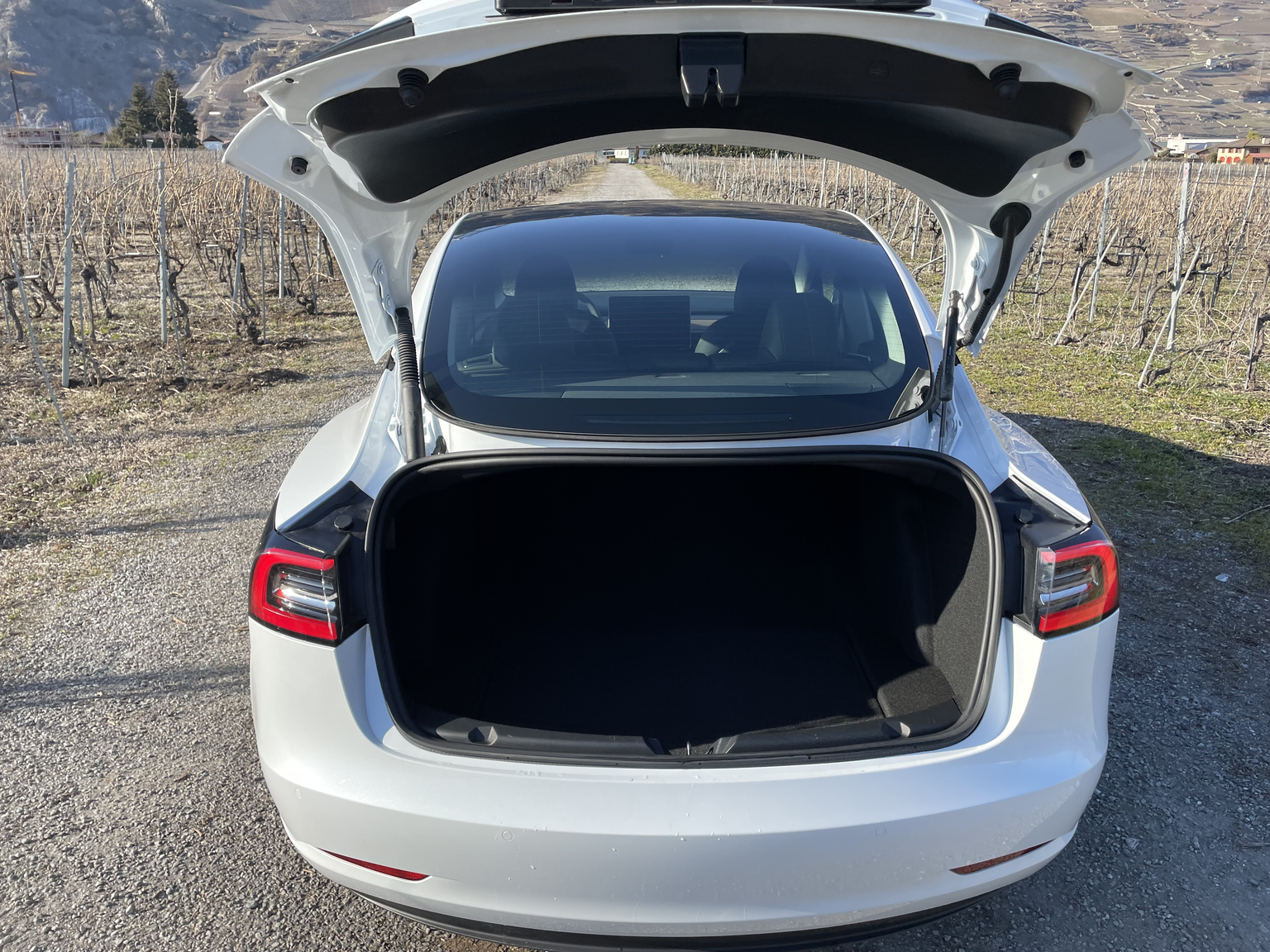 TESLAModel 3 Long Range D