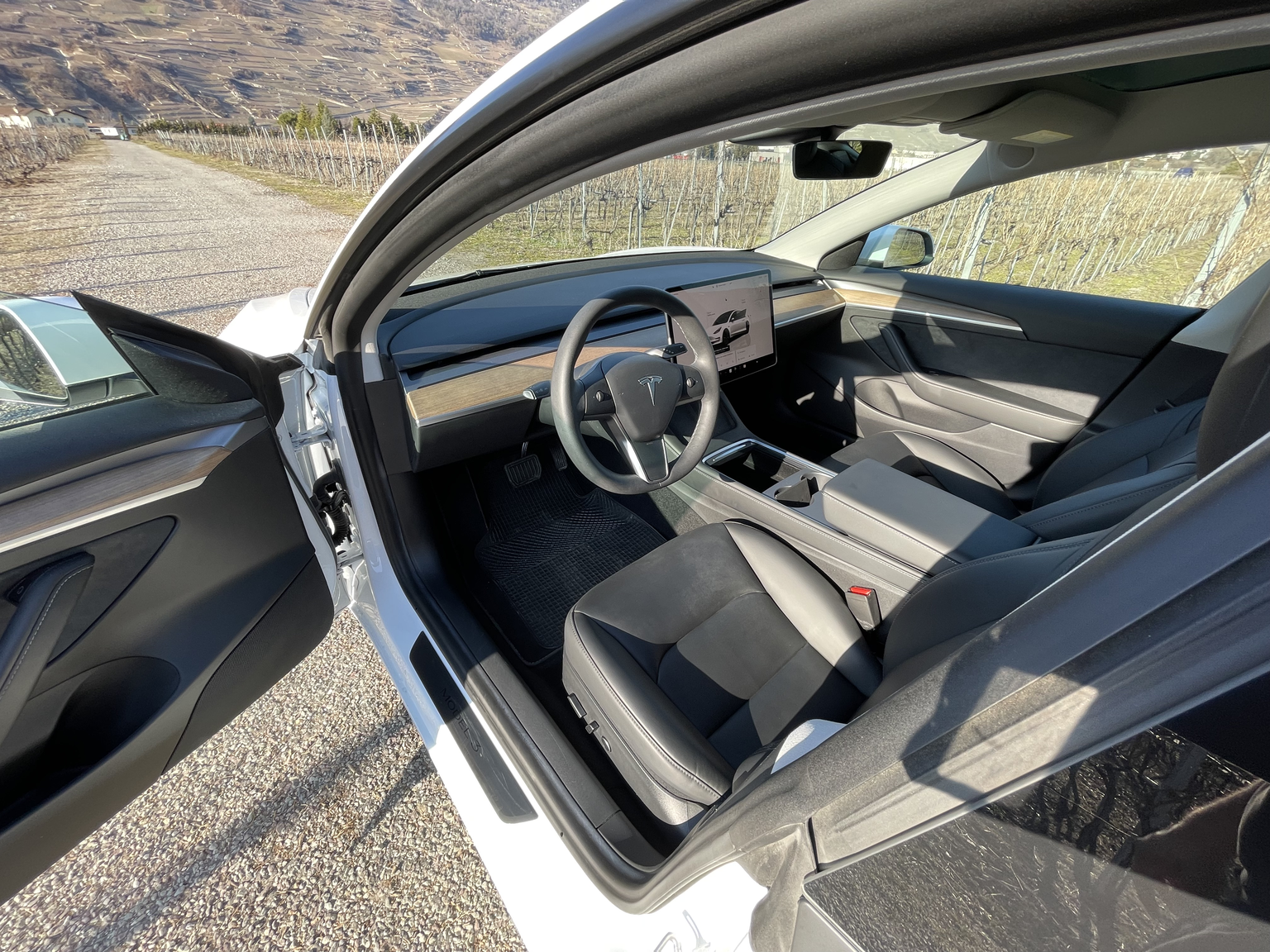 TESLAModel 3 Long Range D