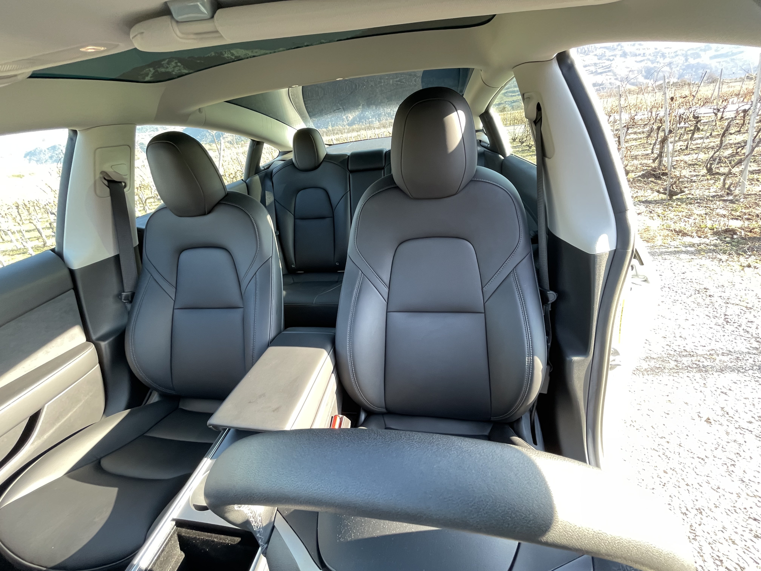 TESLAModel 3 Long Range D