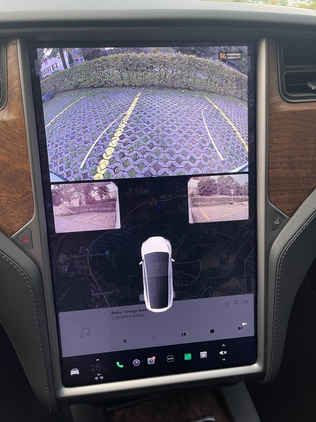 TESLA Model X Maximale-Reichweite (SUV / Geländewagen)