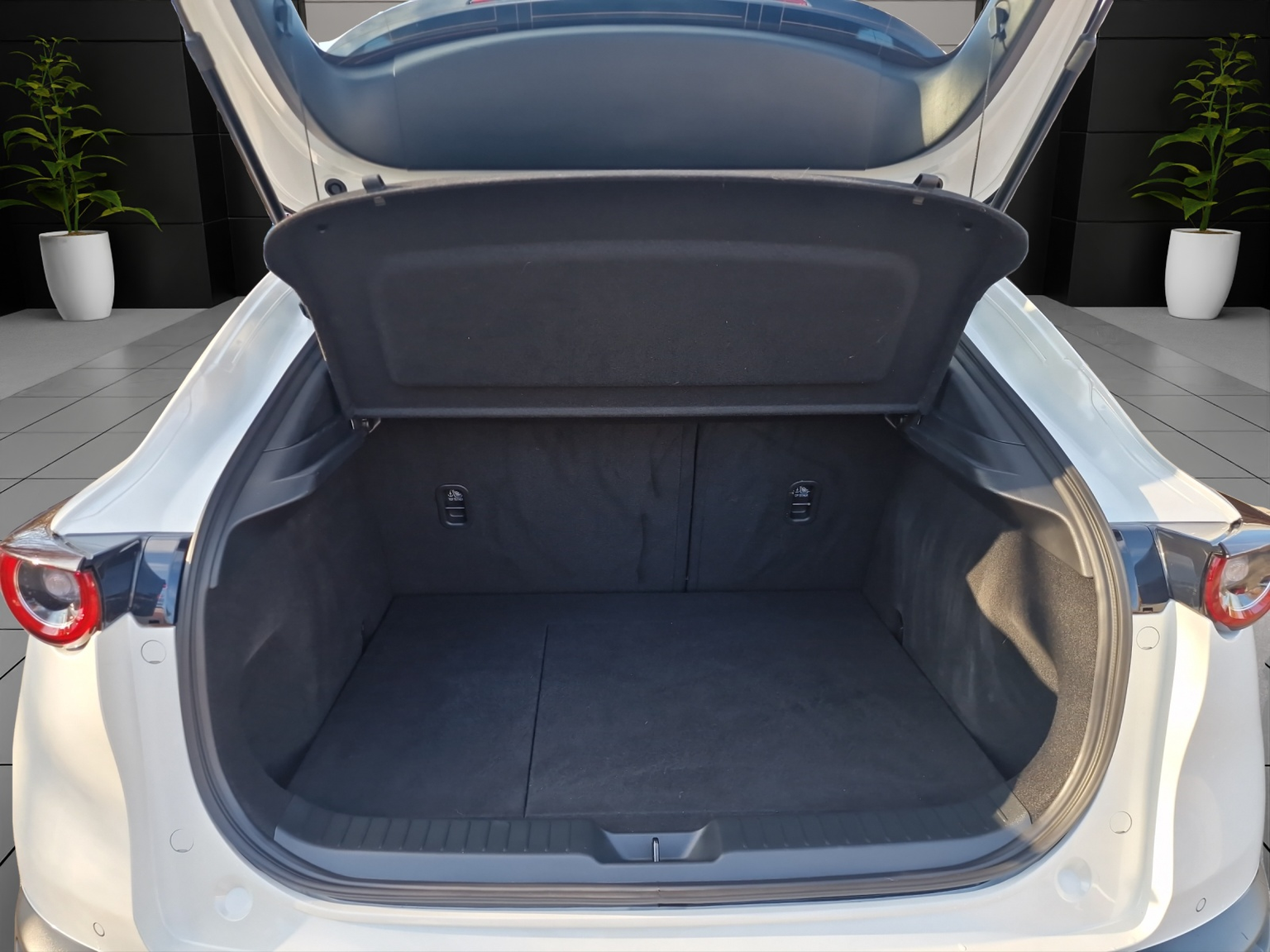 MAZDA CX-30 X 186 Ex Lin AWD AT