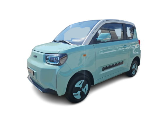 BAW Pony Electric