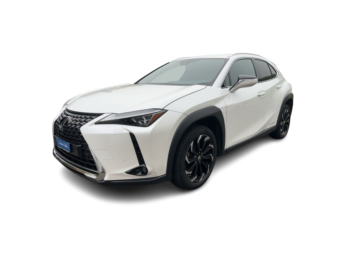 LEXUS UX 300e excellence elektrisch 54,3 kWh