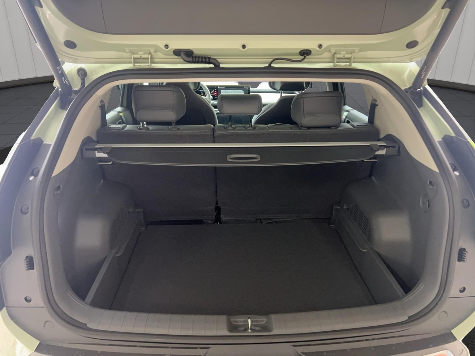KIA EV3 81 kWh Earth+
