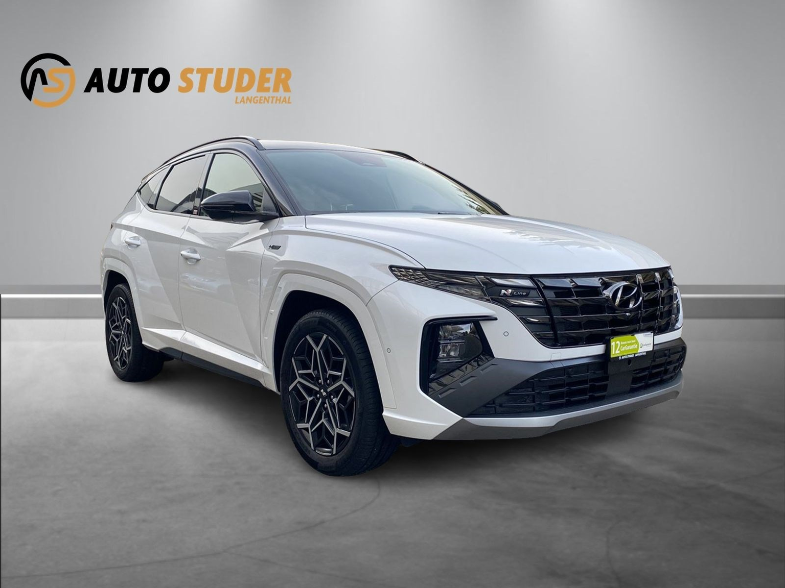 HYUNDAI Tucson 1.6 T-GDi HEV N-Line LUX.pack 4WD