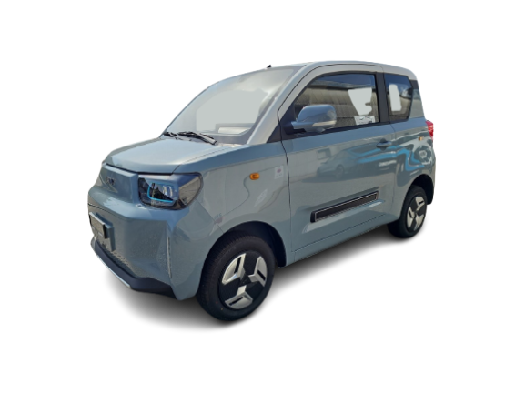 BAW Pony Electric