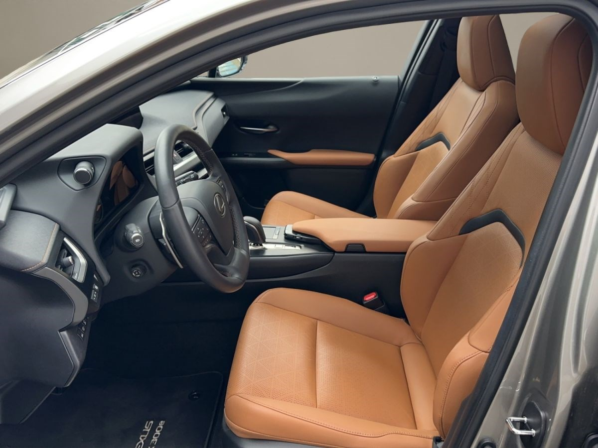 LEXUS UX 300e excellence elektrisch