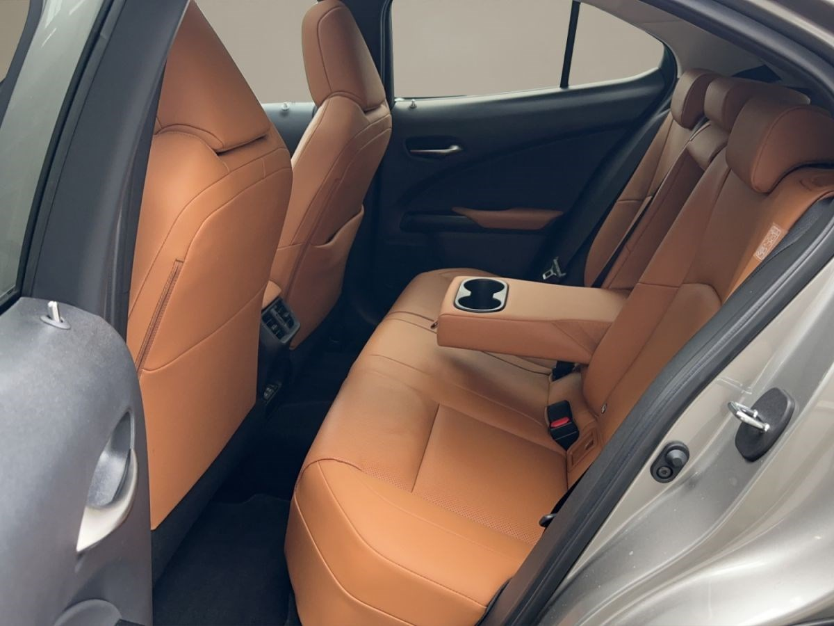 LEXUS UX 300e excellence elektrisch