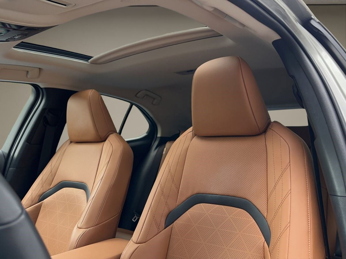LEXUS UX 300e excellence elektrisch