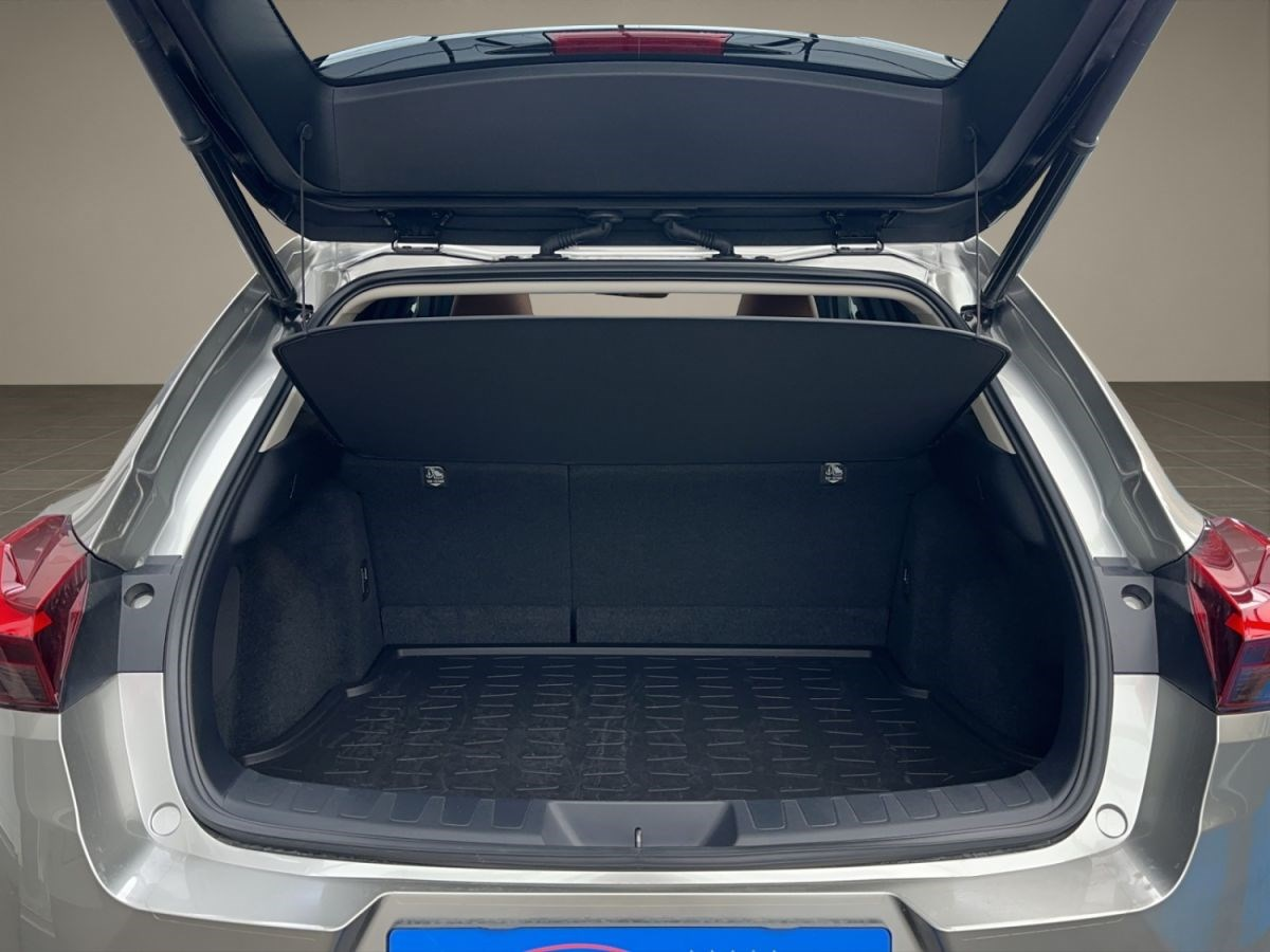 LEXUS UX 300e excellence elektrisch