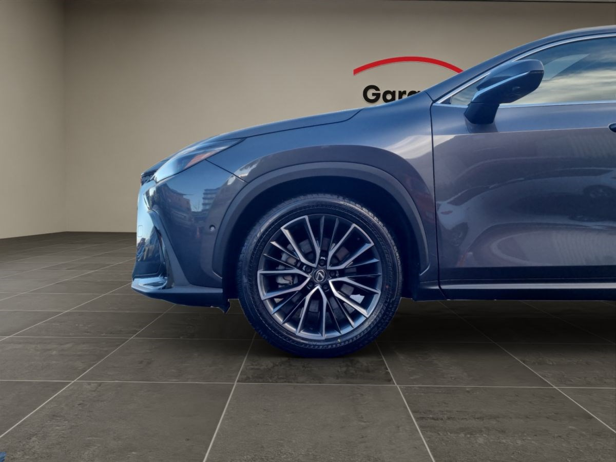 LEXUS NX 450h+ excellence AWD