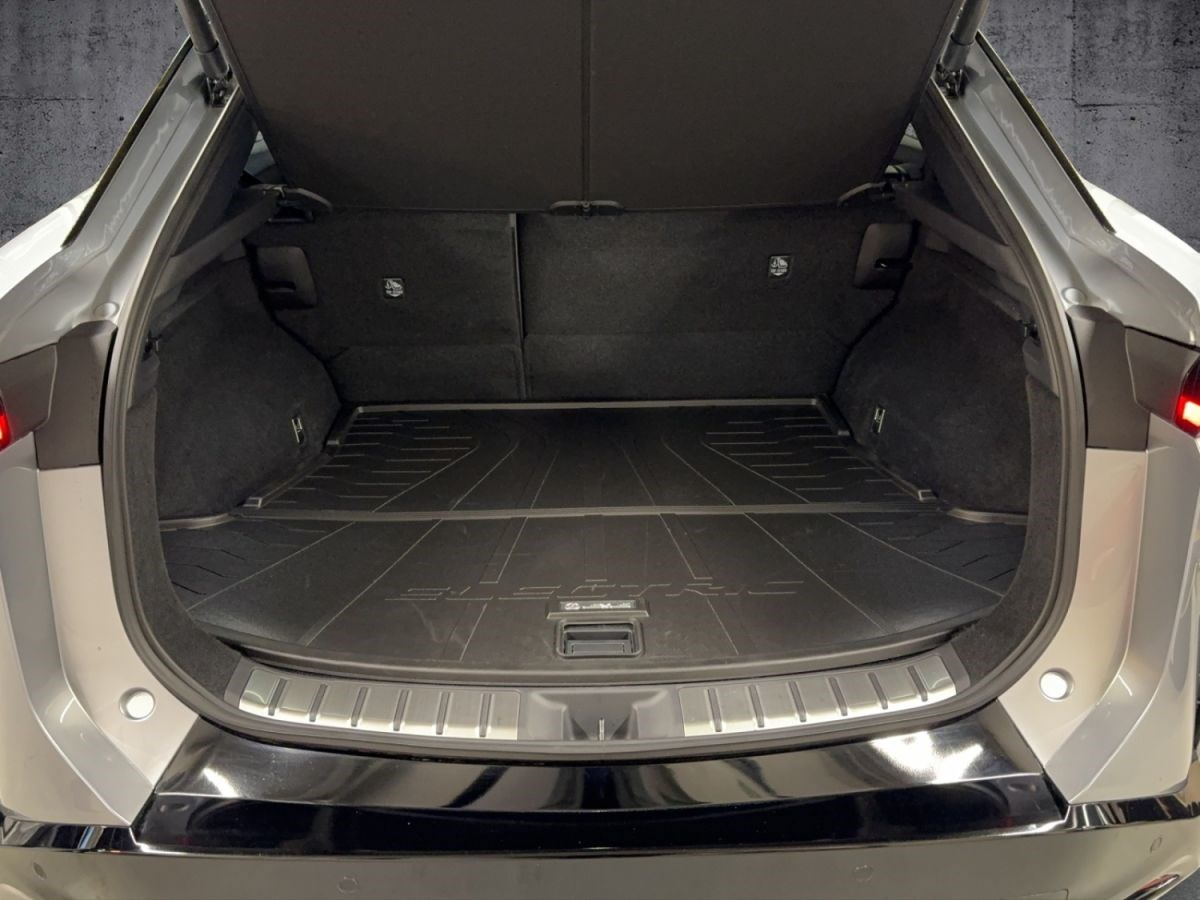 LEXUS RZ 450e excellence Direct4 elektrisch