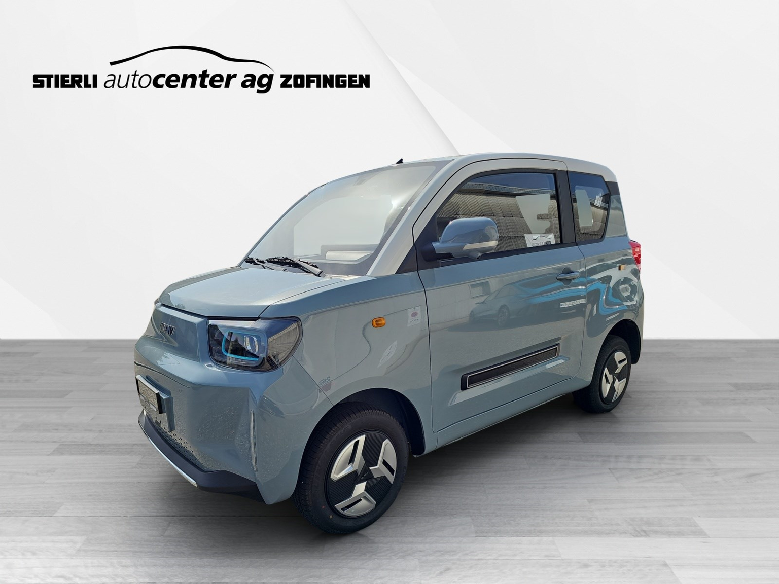 BAW Pony Electric