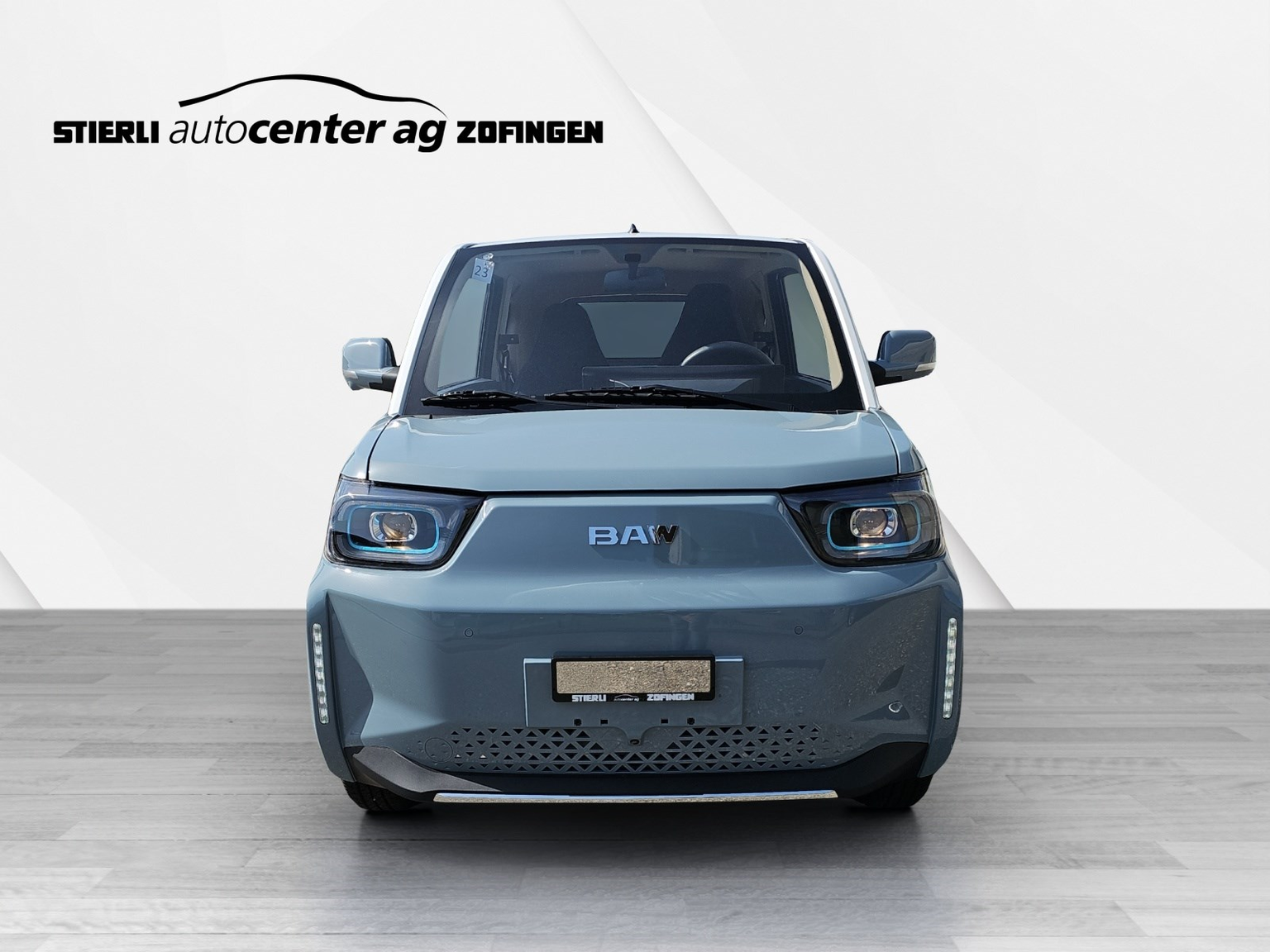 BAW Pony Electric