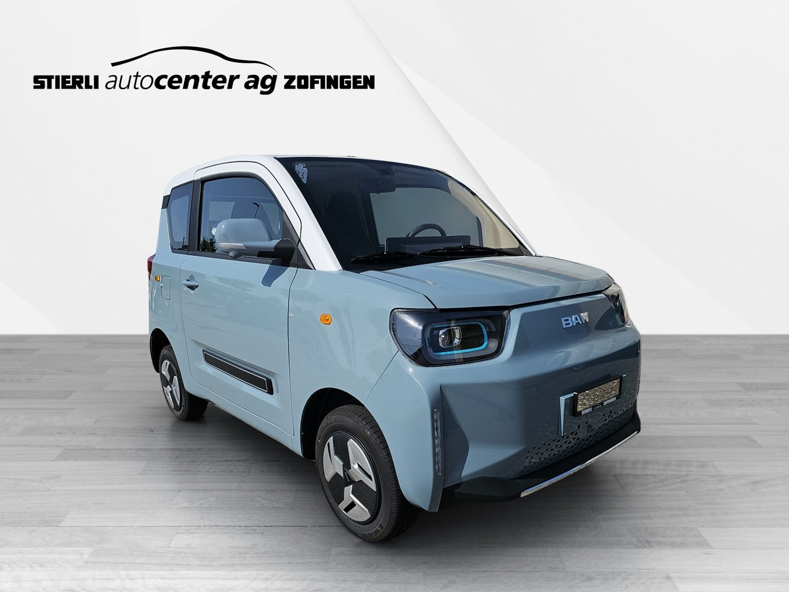 BAW Pony Electric