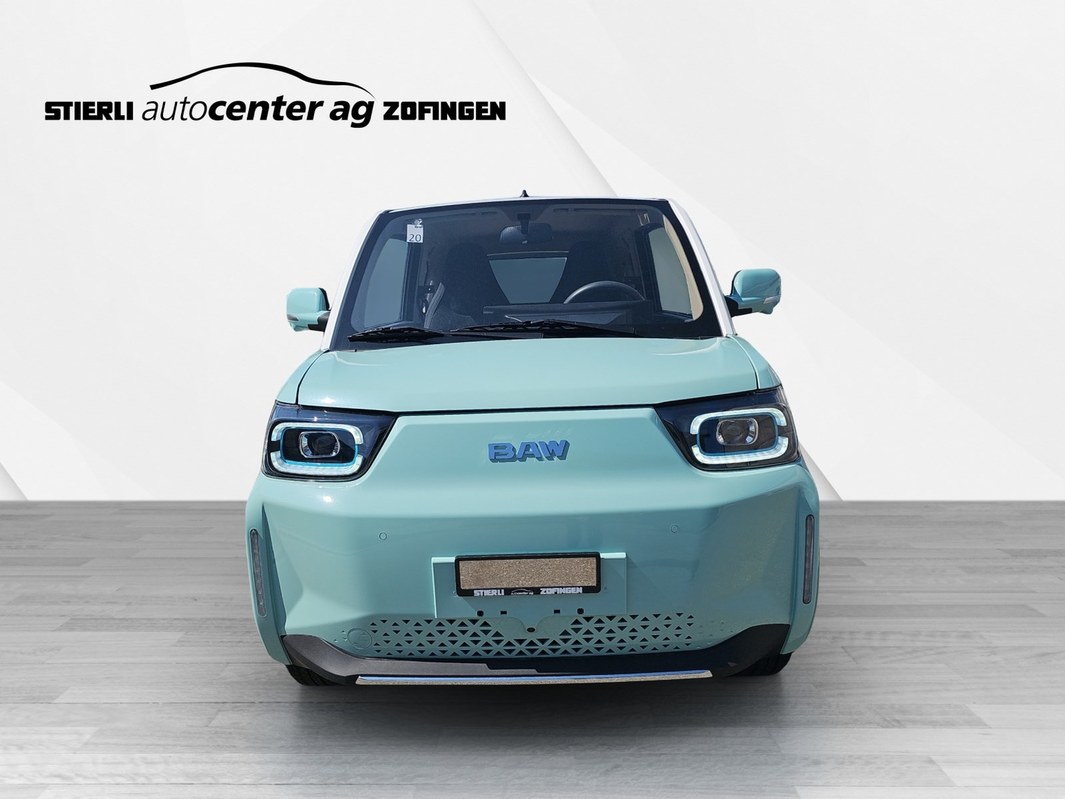 BAW Pony Electric