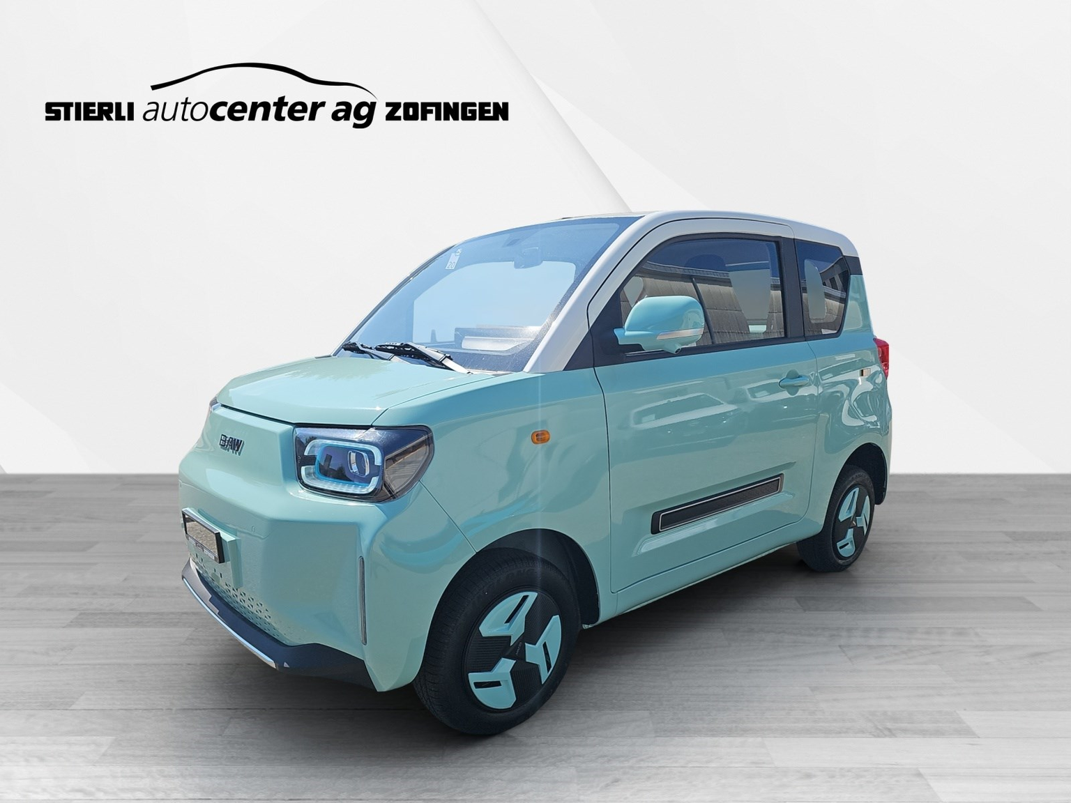 BAW Pony Electric