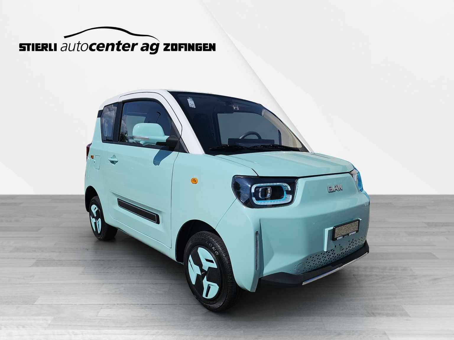 BAW Pony Electric