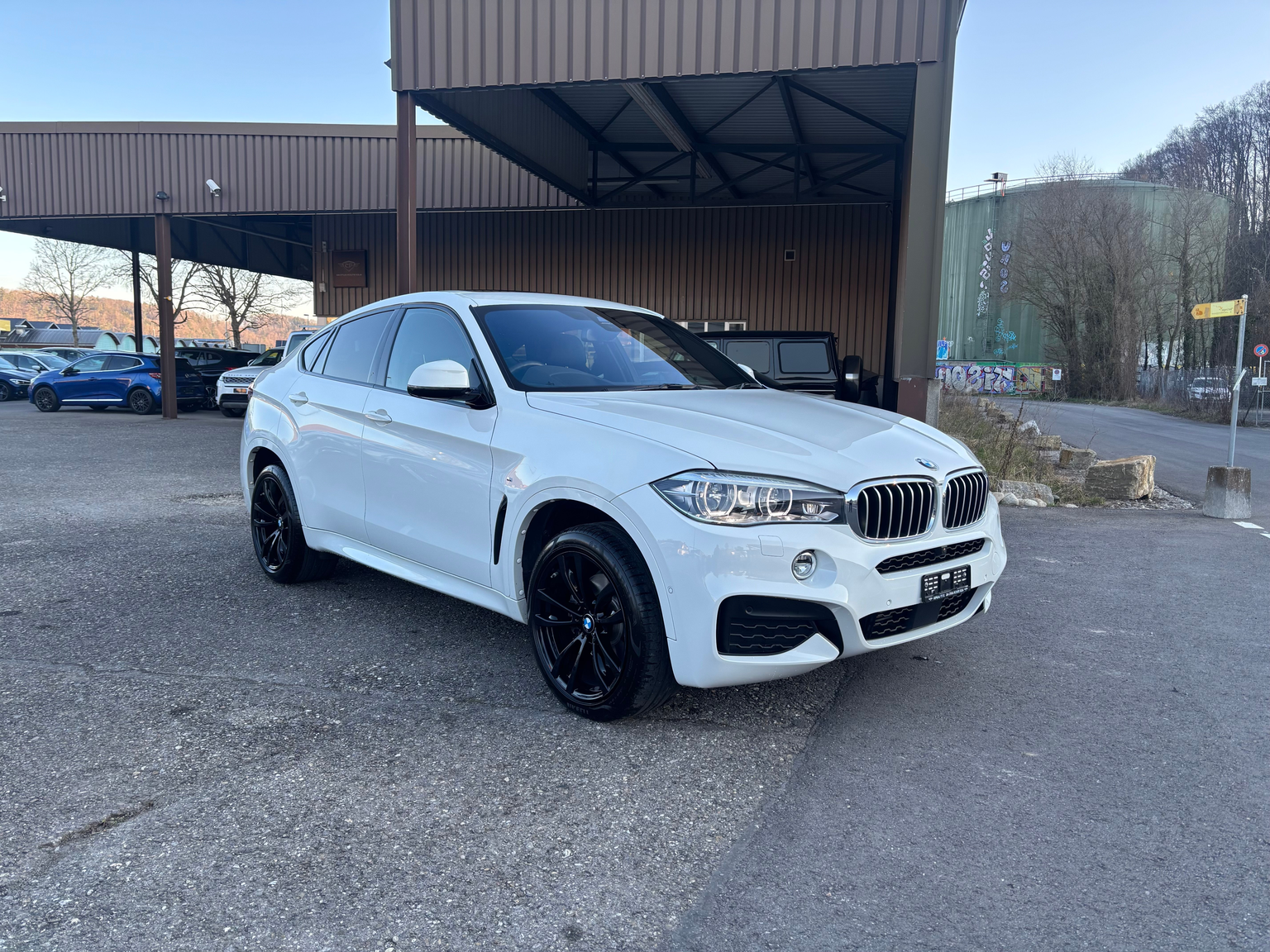 BMW X6 xDrive 40d Pure M Sport Steptronic