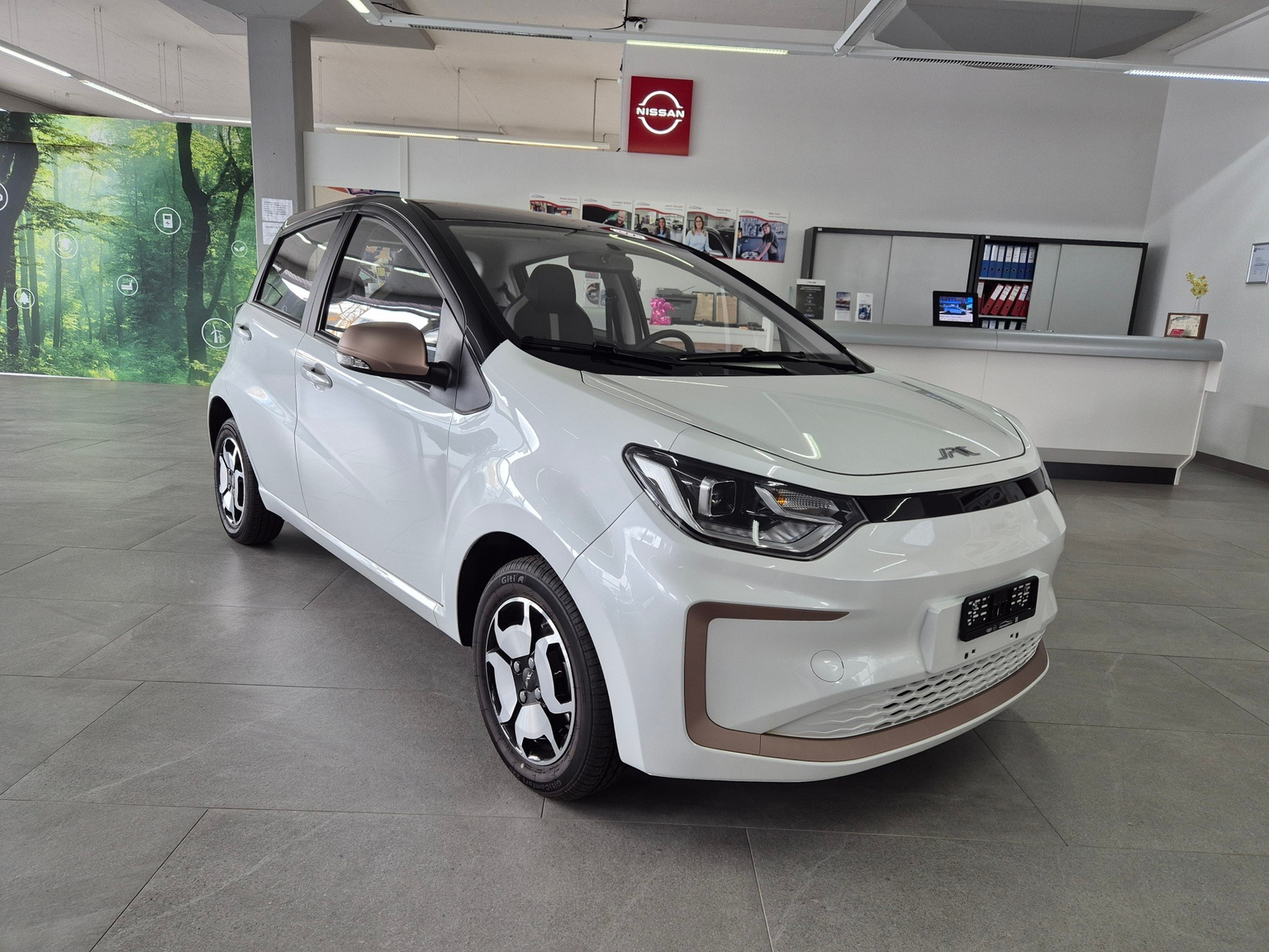 JAC e-JS1 31KwH