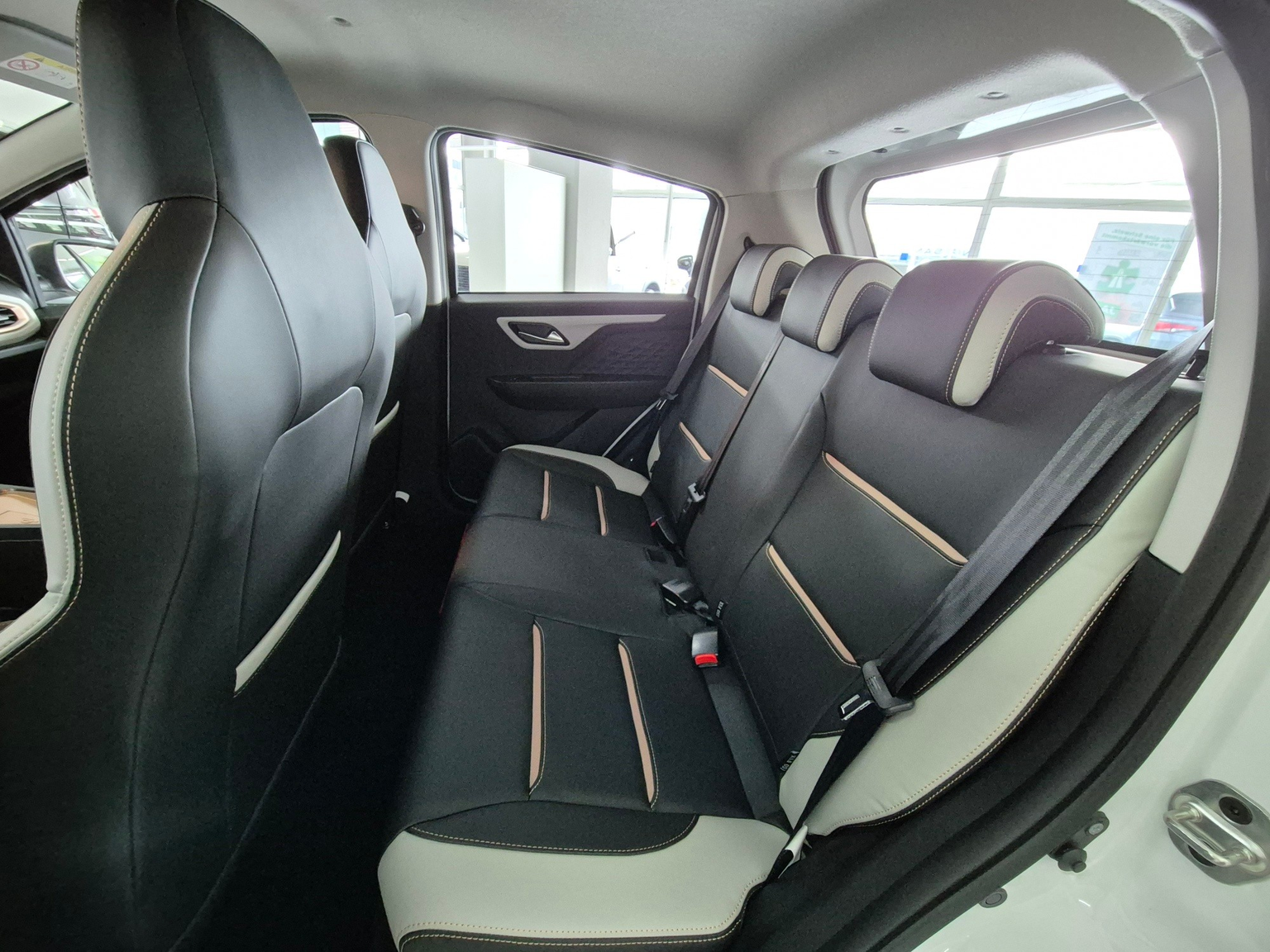 JAC e-JS1 31KwH