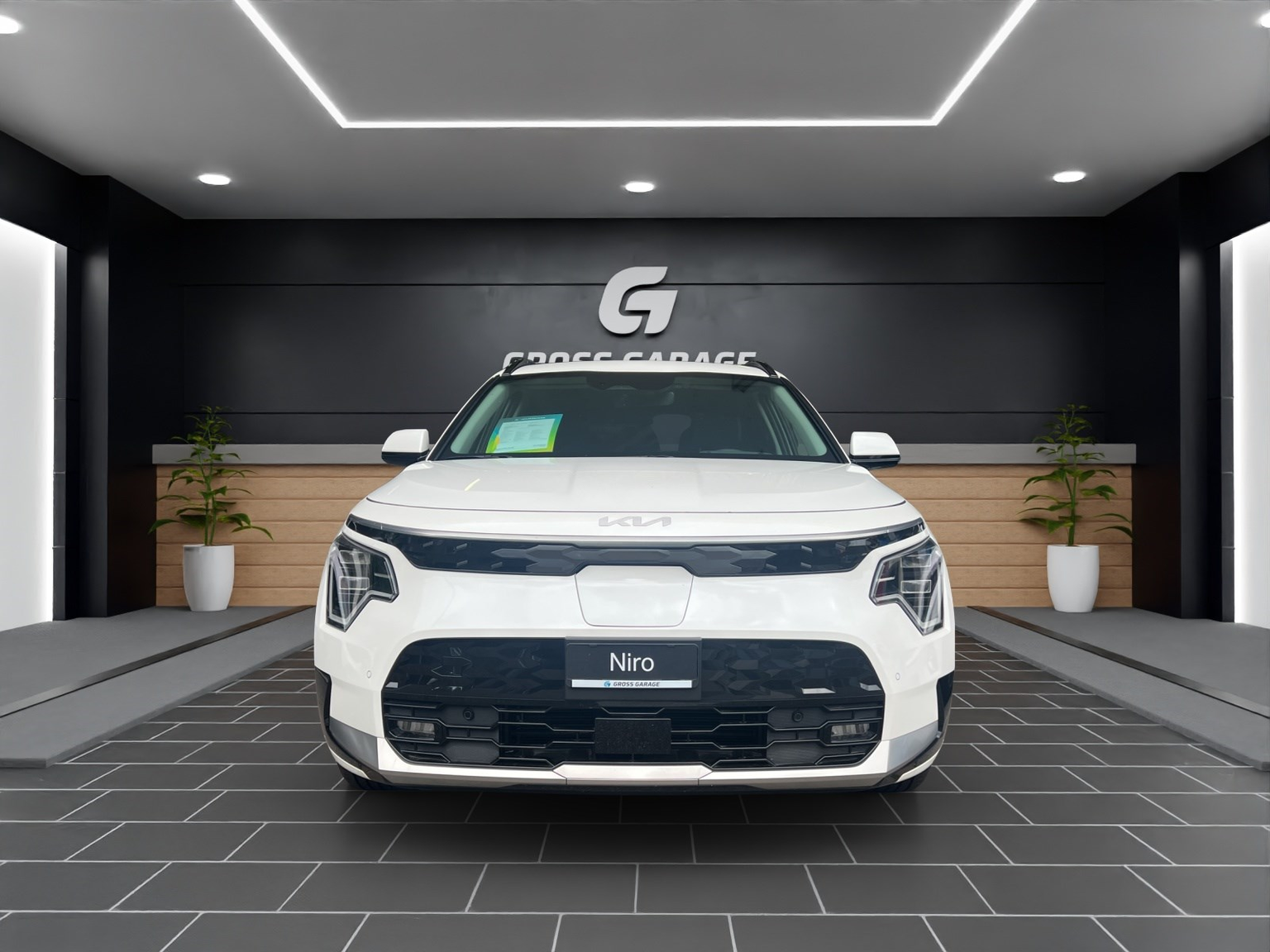 KIA NIRO EV 64,8 kWh Power Ed