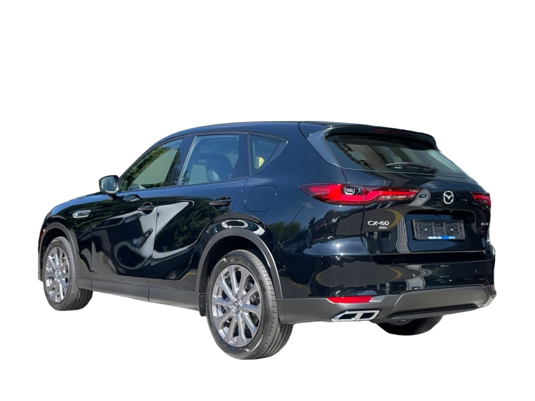 Auto Abo Foto Nummer 4 von 9