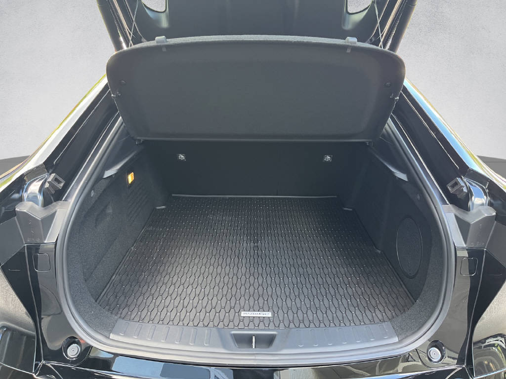 Auto Abo Foto Nummer 15 von 16