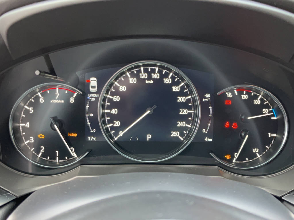 Auto Abo Foto Nummer 8 von 16