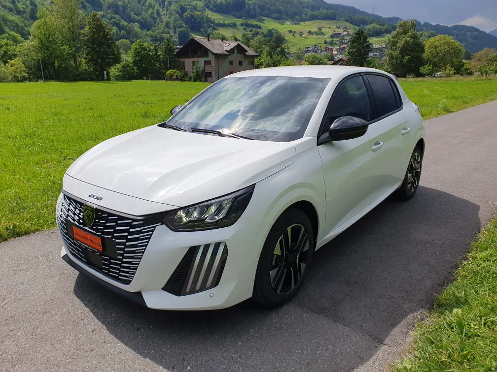Auto Abo Foto Nummer 4 von 16