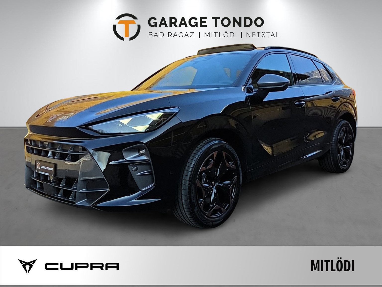 CUPRA Terramar 2.0 TSI Prime Edition VZ 4Drive DSG