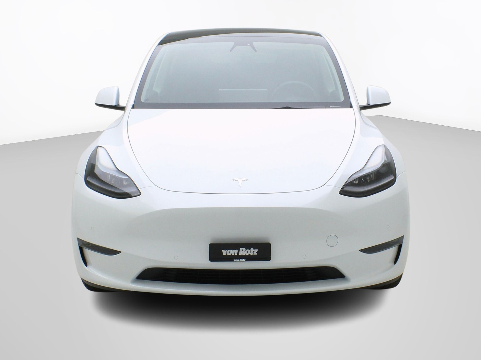 TESLA Model Y Long Range Dual AWD