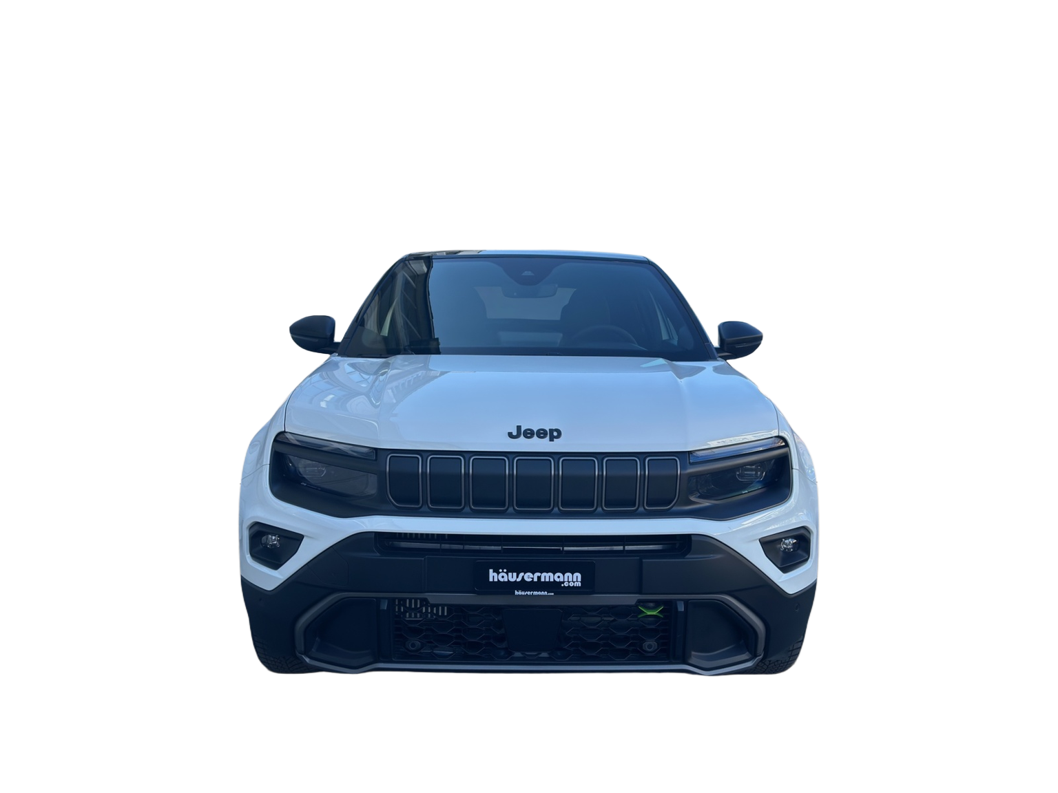 JEEP Avenger 1.2 MHEV Overland 4xe Pack Leder / Sky