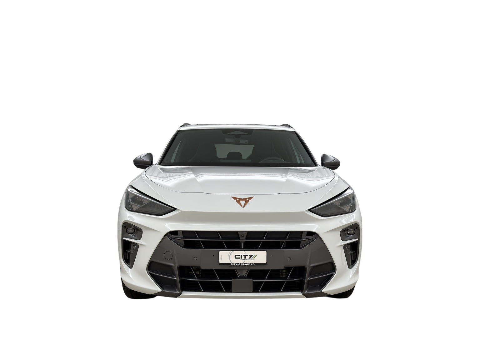 CUPRA Terramar 2.0 TSI VZ 4Drive DSG