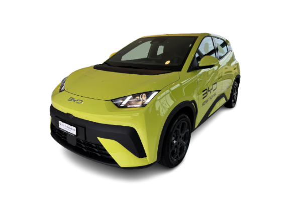 BYD Dolphin Surf 43 kWh Boos