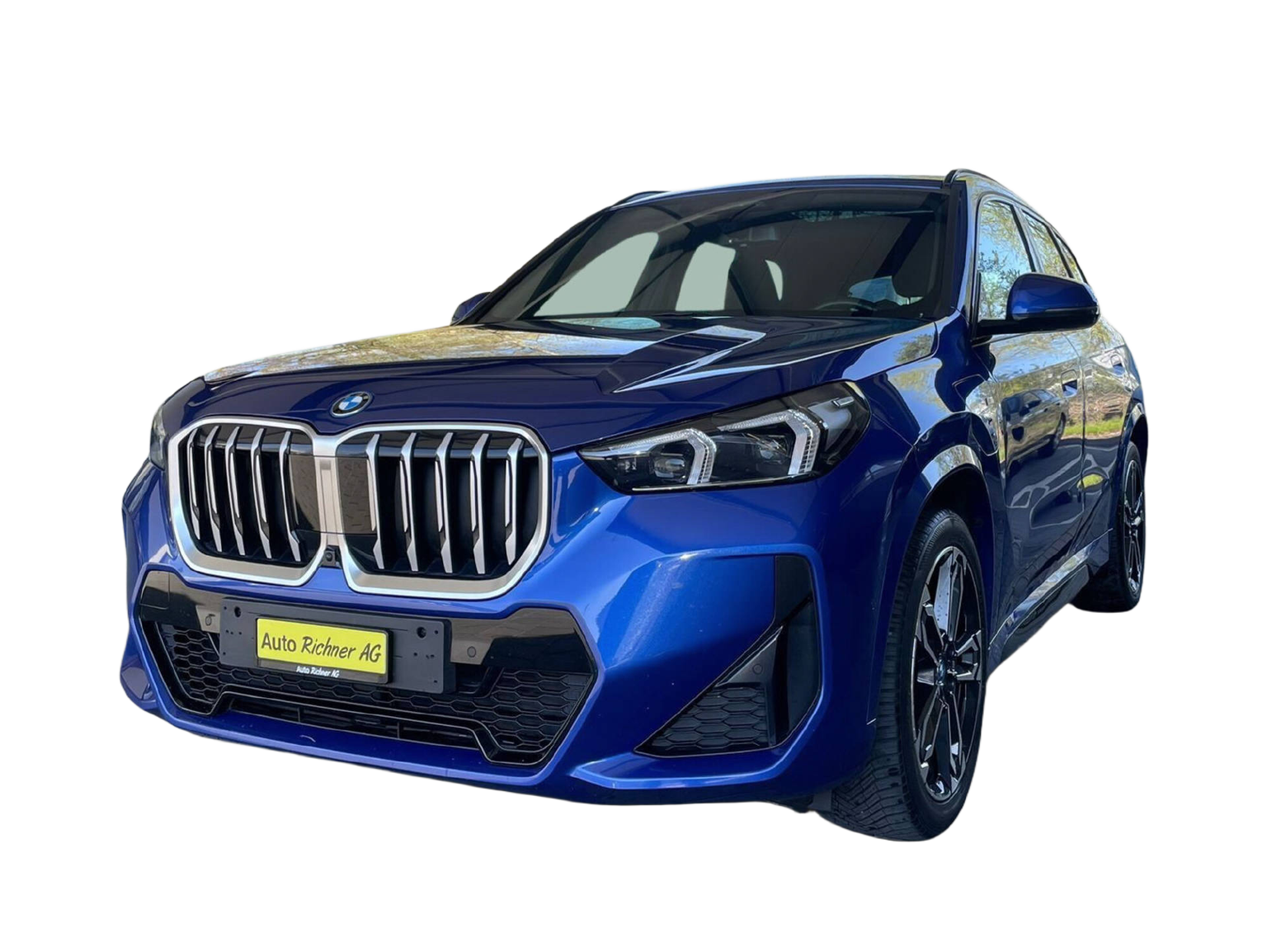 BMW X1 25e xDrive paddles
