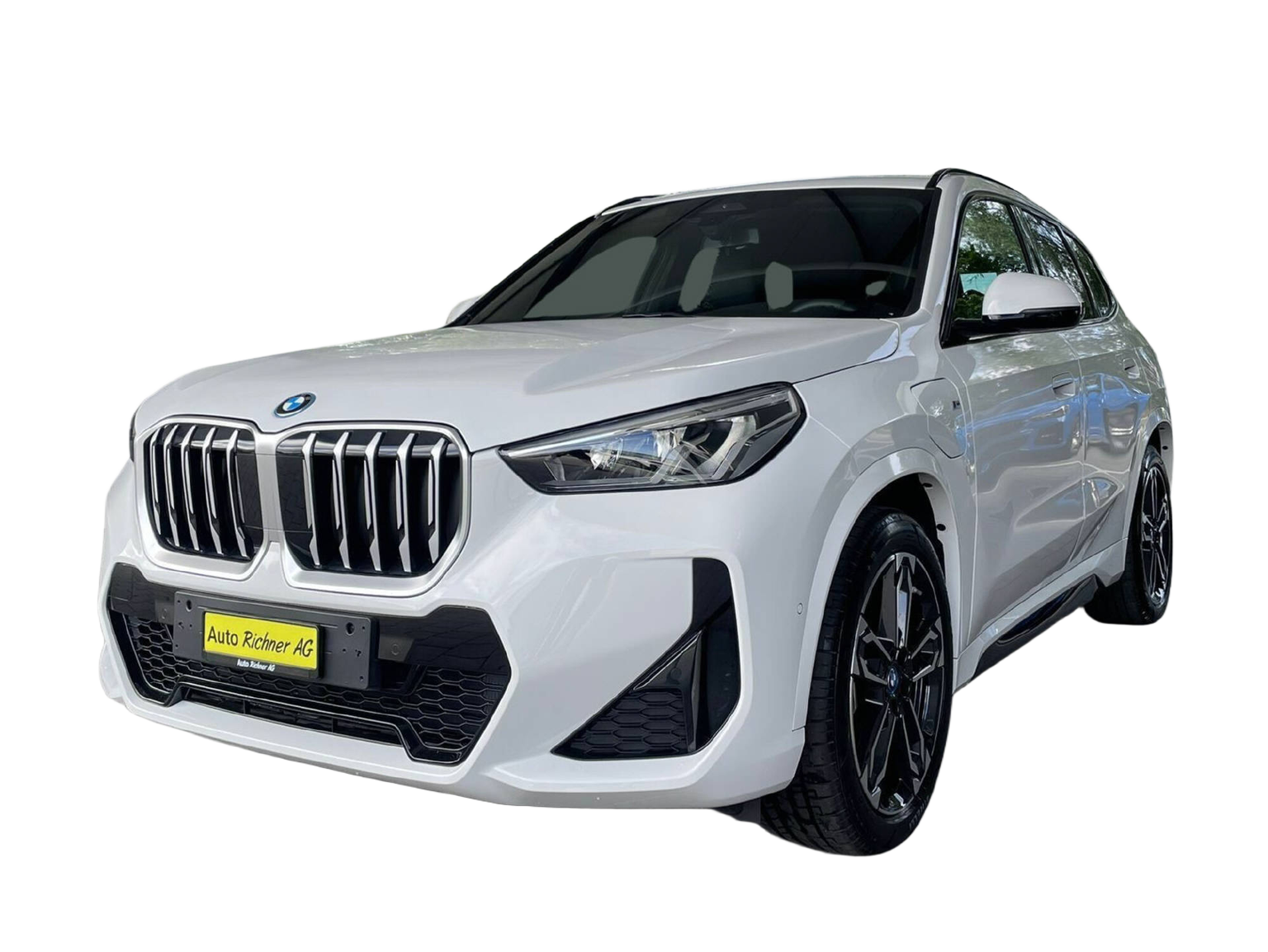 BMW X1 25e xDrive paddles
