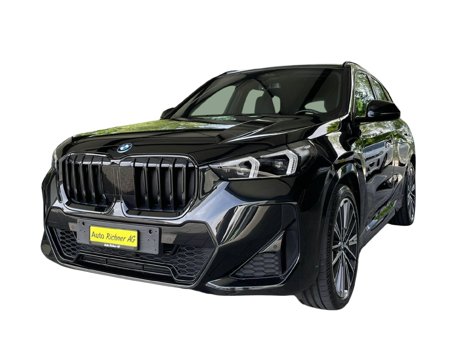 BMW X1 25e xDrive paddles
