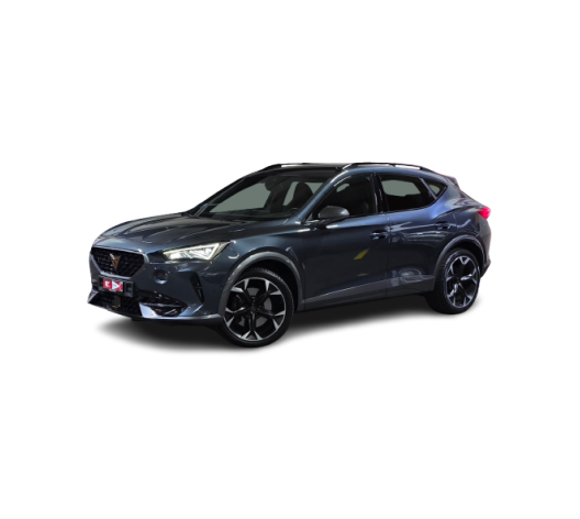 CUPRA Formentor 2.0TSI VZ 4Drive DSG *Lenkradheizung*Rückfahrkamera*ACC*