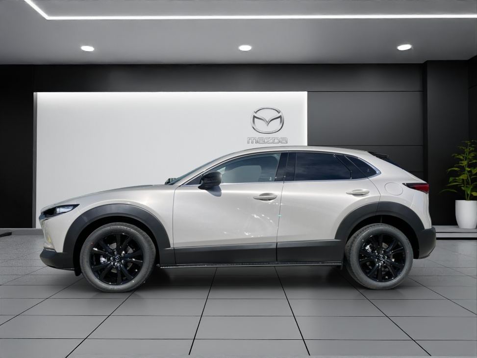 MAZDA CX-30 SKYACTIV-G 140 M Hybrid Homura FWD AT