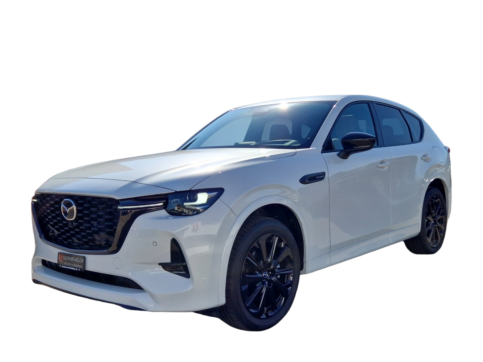 MAZDA CX-60 3.3 D Homura Plus AWD, Tan Leder, 2026er