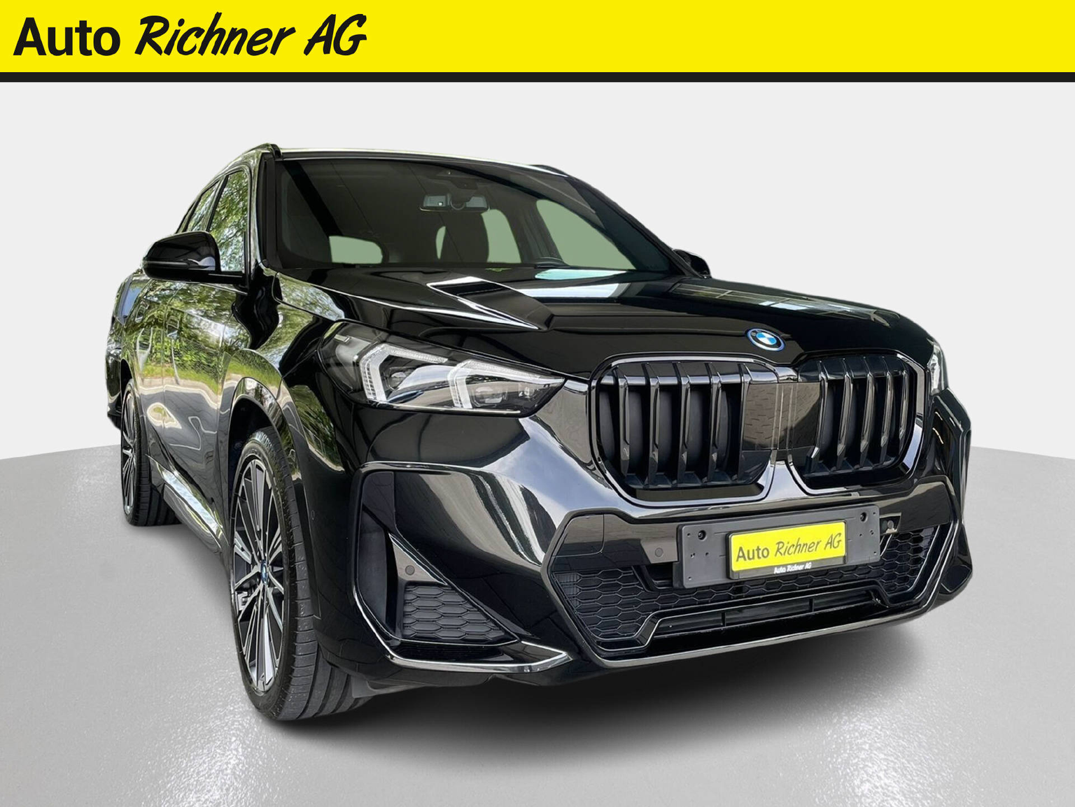 BMW X1 25e xDrive paddles