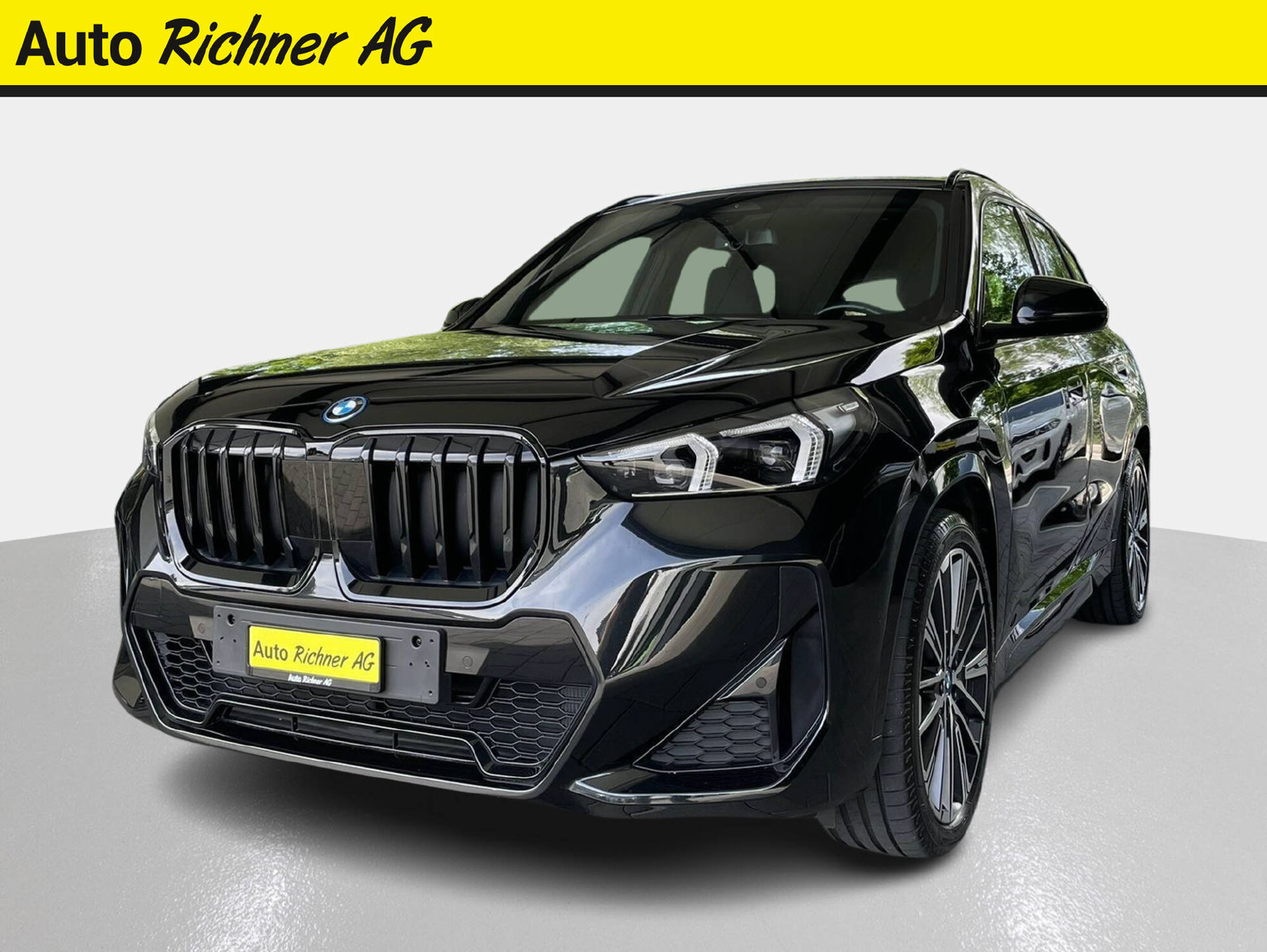 BMW X1 25e xDrive paddles