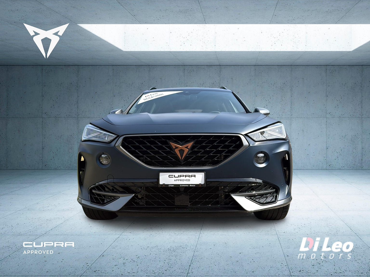 CUPRA Formentor 2.0TSI VZ 4Drive DSG