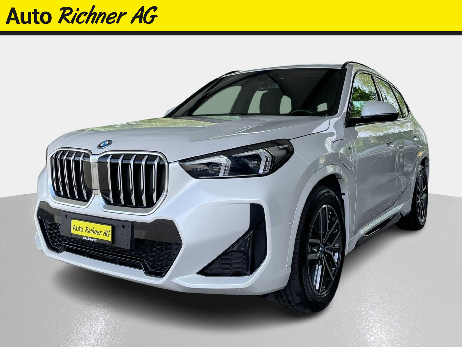 BMW X1 25e xDrive paddles