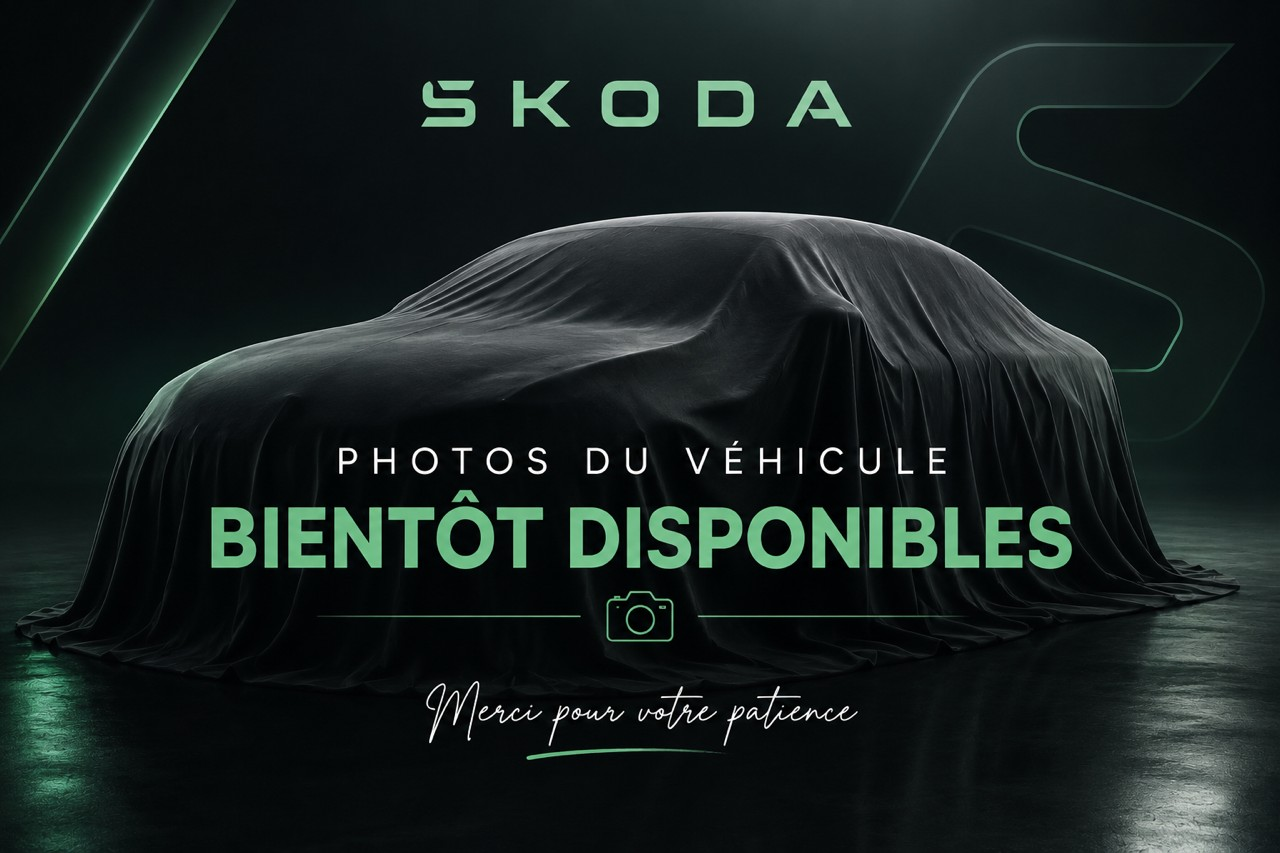 SKODA Kamiq 1.5 TSI Dynamic DSG