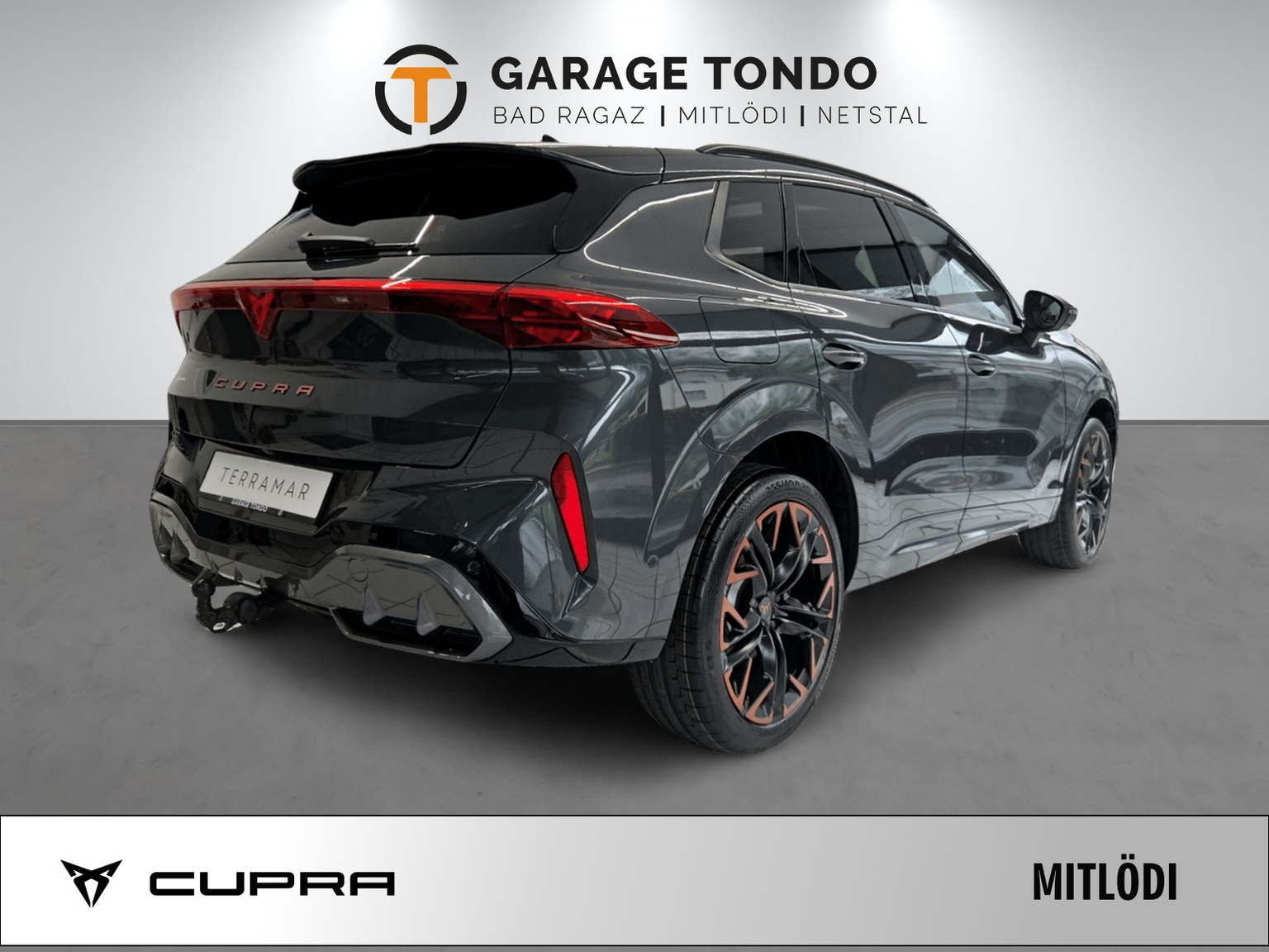 CUPRA CUPRA Terramar PE2.0TSI 265PS 2000ccm 265PS/195kW 4 Zylinder TSI Benzin