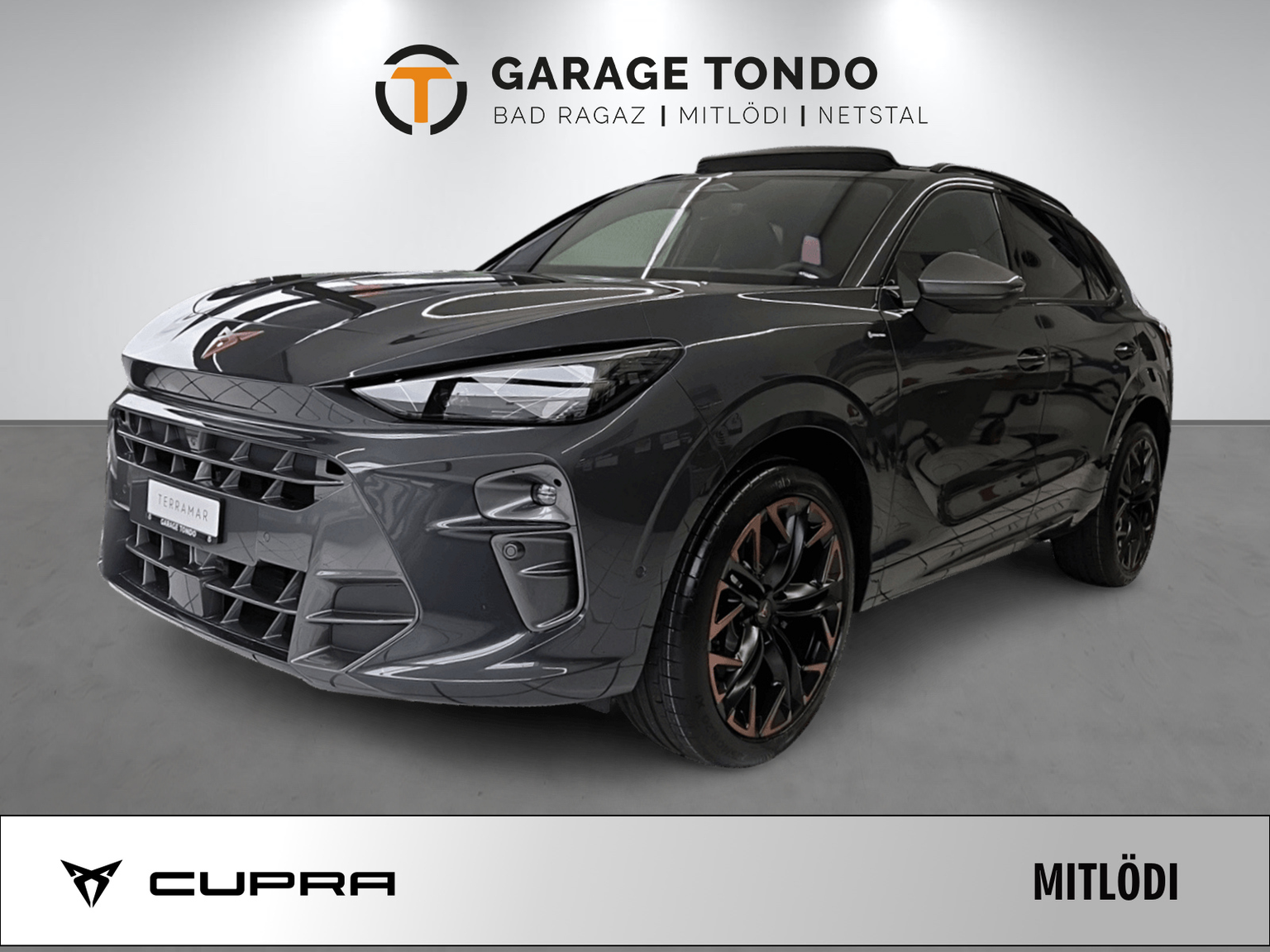 CUPRA CUPRA Terramar PE2.0TSI 265PS 2000ccm 265PS/195kW 4 Zylinder TSI Benzin